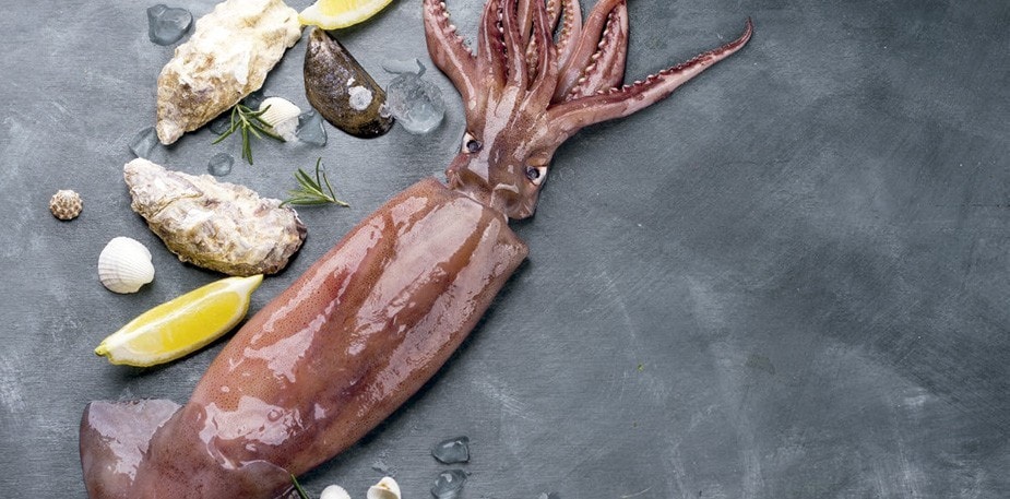 Los calamares, perfectos para el verano